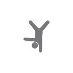 Professional Coaches Icon